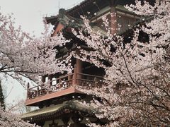 -西安青龙寺遗址景区