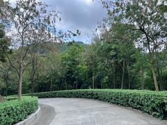 -田心森林公园