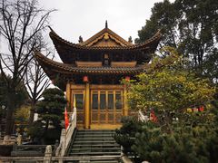 -上海东林寺(金山区)