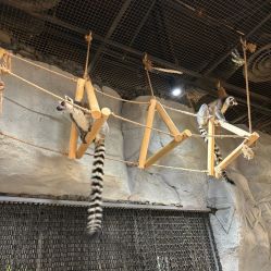 -Zoolung Zoolung动物主题公园(海信广场店)