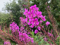 -白草畔自然风景区