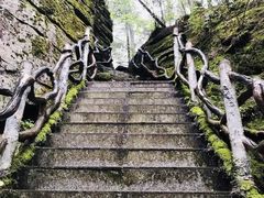 -汤旺河林海奇石景区