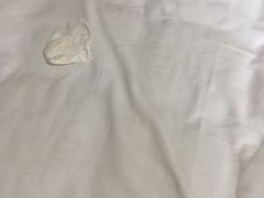 -上海北方智选假日酒店