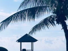 -三亚海棠湾万丽度假酒店