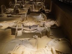 -洛阳周王城天子驾六博物馆