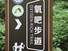 -牛背梁国家森林公园