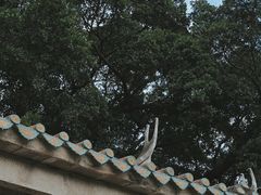 -草庵摩尼教遗址公园