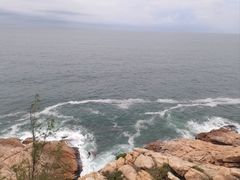 -广东惠东海龟国家级自然保护区