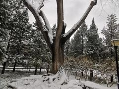 -玲珑塔公园