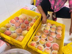 -老袁家蜜桃农场·阳山水蜜桃