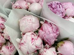 -绿叶子(春秀路店)