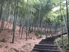 -天目湖山水园