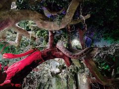 -多彩贵州城极地海洋世界