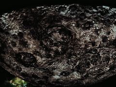 -辽宁古生物博物馆
