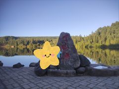 -五营红松林海景区