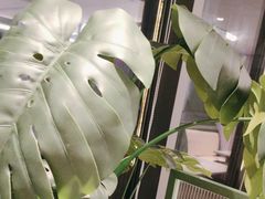 -椰小鸡·琼州糟粕醋·火锅(美兰缤纷城店)