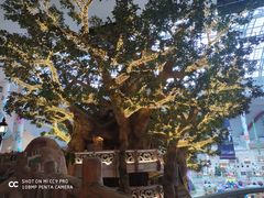 -宁波罗蒙环球乐园