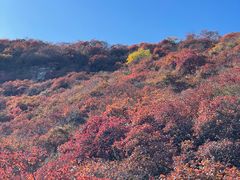 -周口店坡峰岭风景区