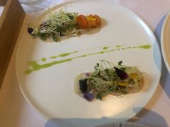 -蝶舍·MAISON PAPILLON