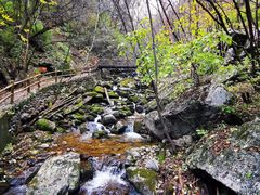 -青峰峡国家森林公园