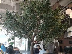 -Wagas沃歌斯(环贸店)