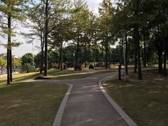 -美兰湖景区