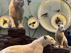 -陕西自然博物馆