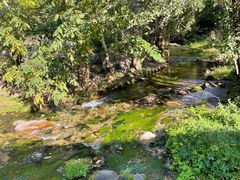 -玉渡山自然风景区