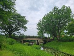 -宁波杭州湾国家湿地公园