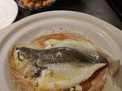 -燕郊烧鸽子(酷车小镇店)