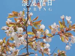 -青岛沙子口国家中心渔港