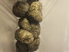 -叶氏麻糍(鼓浪屿店)
