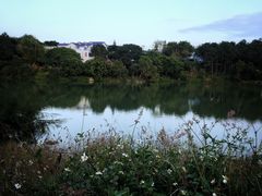 -广东惠东海龟国家级自然保护区