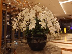 -视界美食自助餐厅·石家庄希尔顿酒店