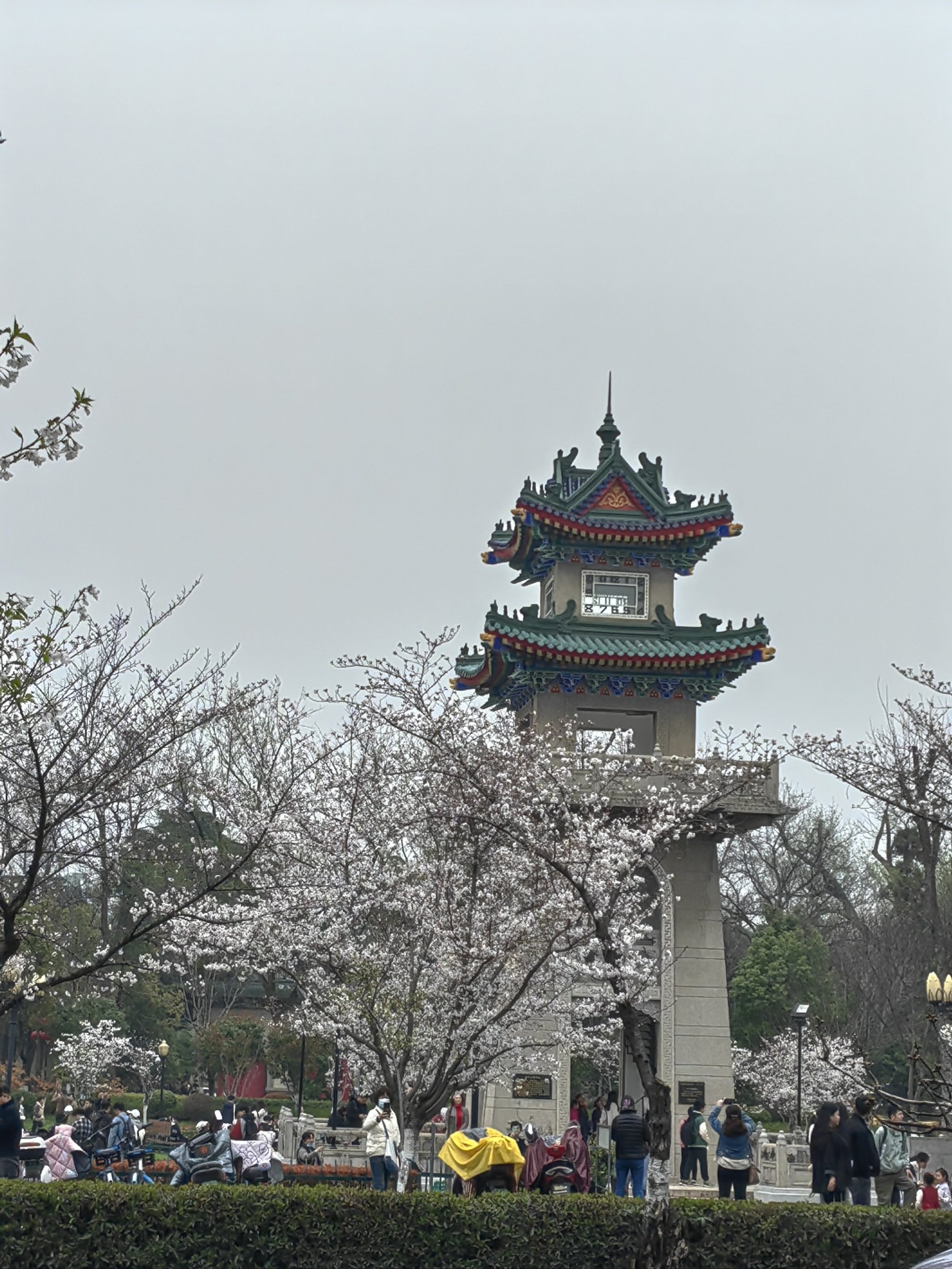 辽宁省朝阳市樱花节图片