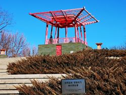 -大望京儿童游乐场