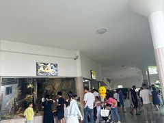 -成都动物园