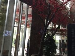 -西安国际创新人才交流中心•药浴温泉