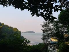 -上海市保健医疗中心(华东疗养院)