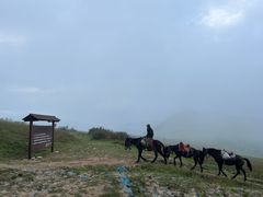 -灵山