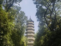 -灵谷景区