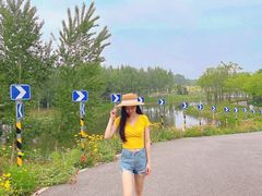 -东郊湿地公园