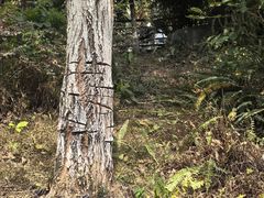 -暨南大学（石牌校区）明湖楼