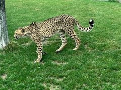 -北京野生动物园