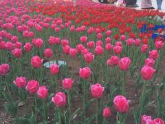 -长春公园(普阳街道)