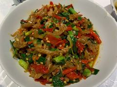 鸭掌筋-壹盏灯(惠农店)