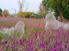 -上海山野camping·户外天幕烧烤·团建拓展营地