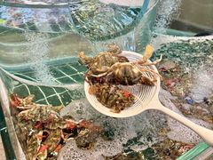 -阿胖龙虾小海鲜(宁国南路总店)