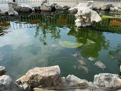 -龙华素斋(龙华路店)