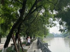-成都市活水公园